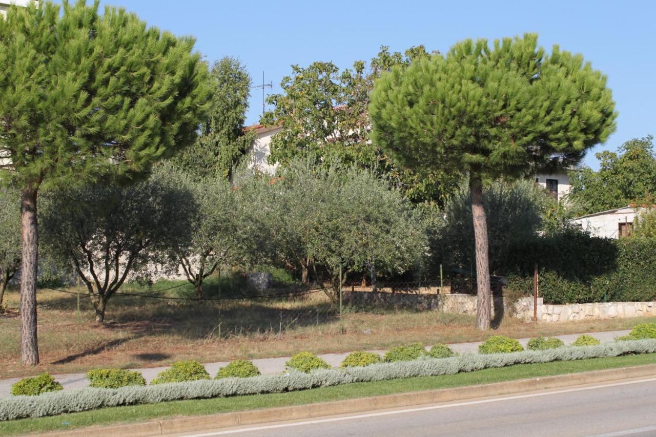Apartments And Rooms With Parking Space Rovinj - 7170 Eksteriør bilde